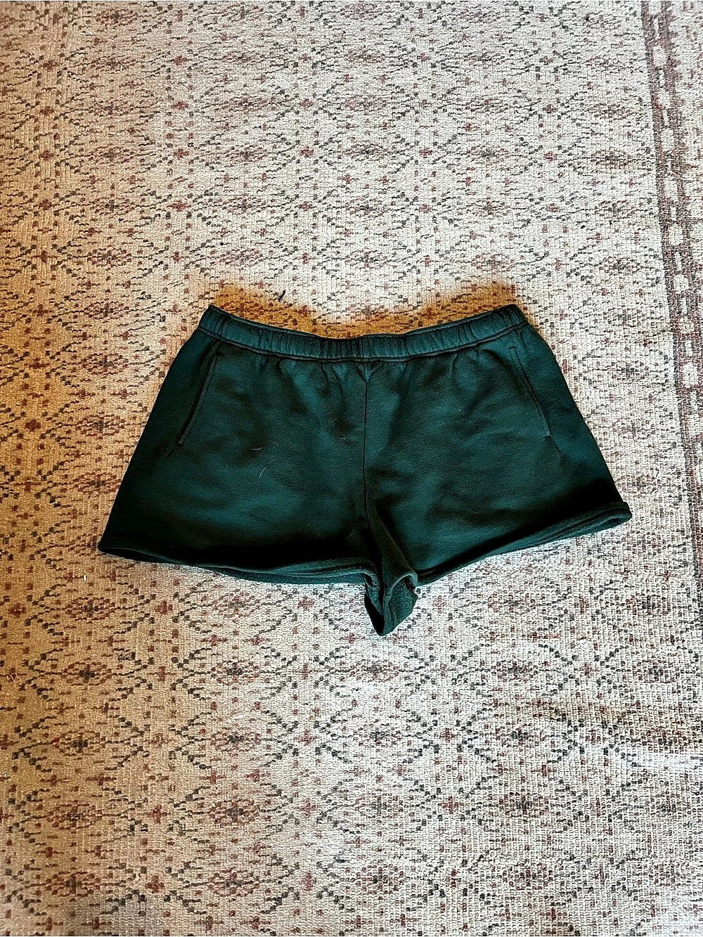 Offline by Aerie Cloud Fleece Short Fleece Shorts in Green XL NWT